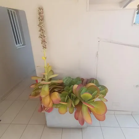 Apartment Cathrin